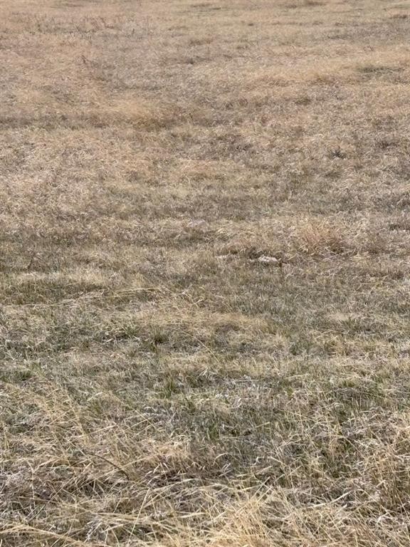 On Twp Rd 342, Veteran, AB
