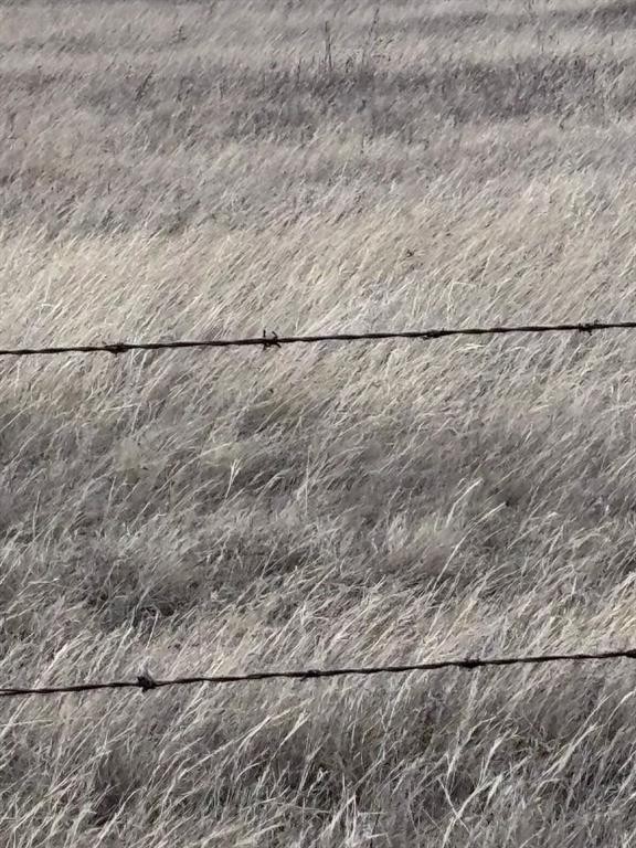 On Twp Rd 342, Veteran, AB