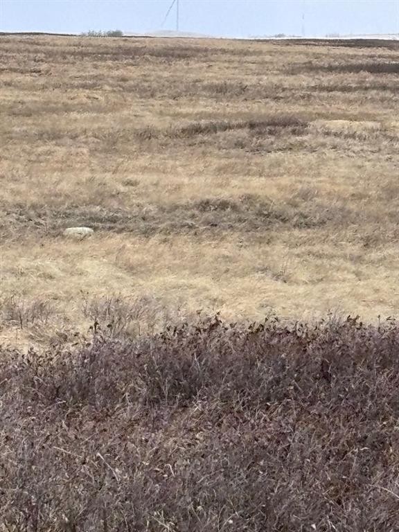 On Twp Rd 322, Consort, AB