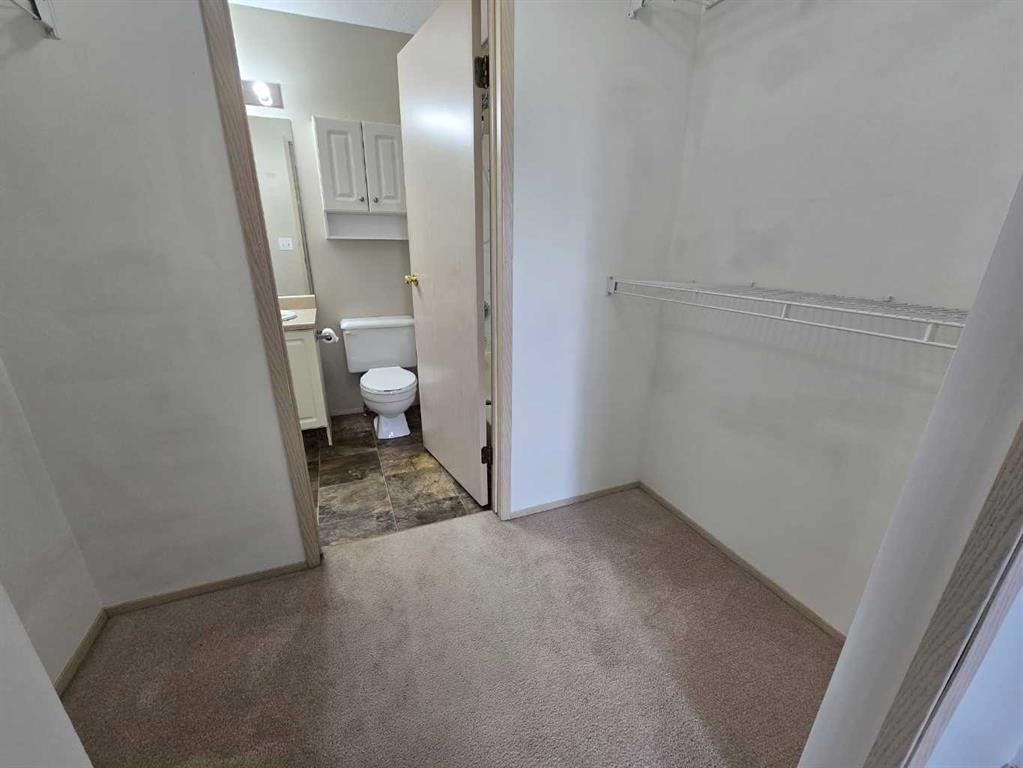312-485 Red Crow Boulevard West, Lethbridge, AB - Indoor Photo Showing Bathroom