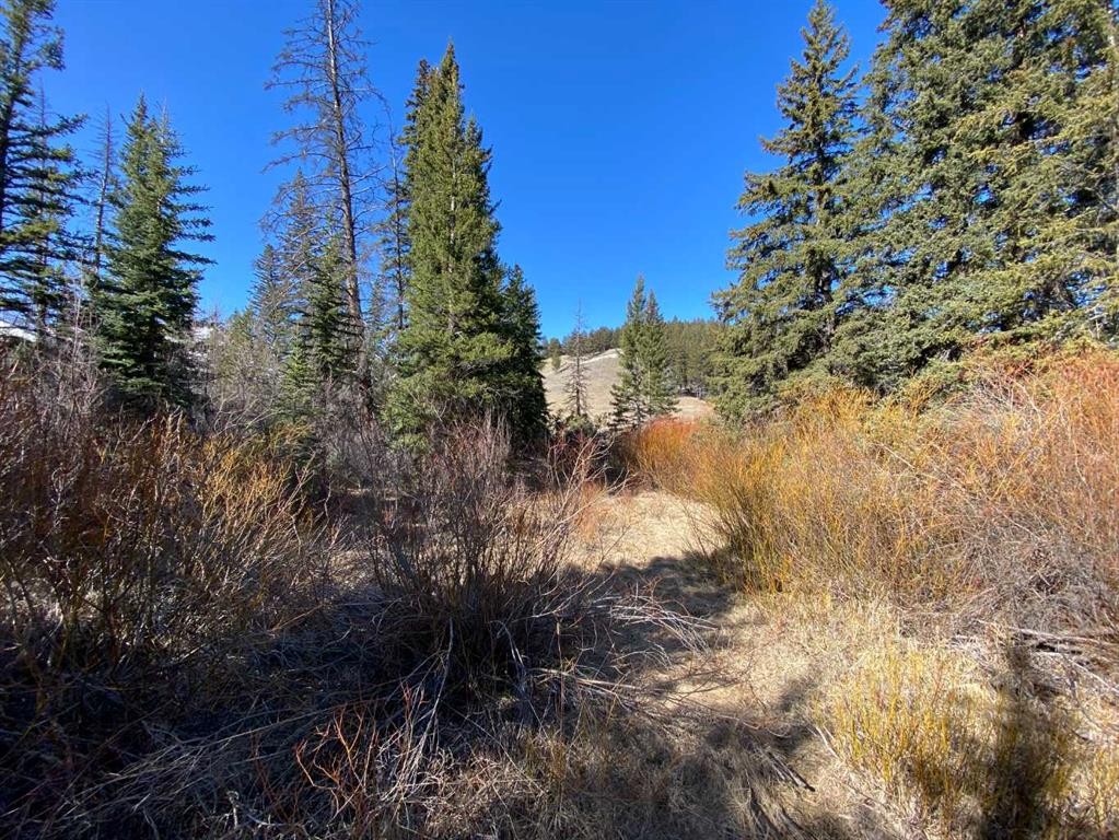 5302 19 Avenue, Coleman, AB - Outdoor With View