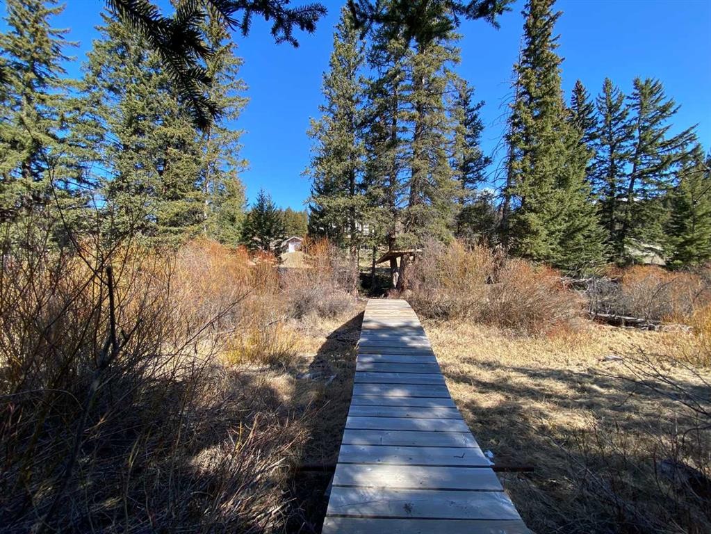 5302 19 Avenue, Coleman, AB - Outdoor With View