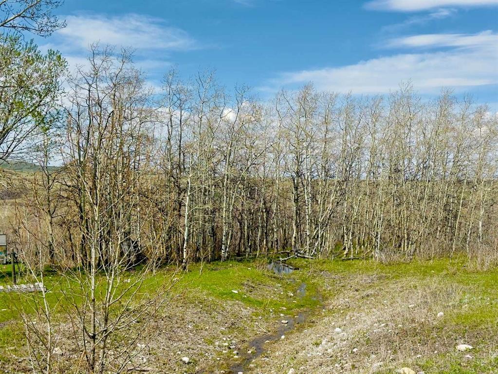 2127 Twp Rd 7-3A, Lundbreck, AB - Outdoor With View