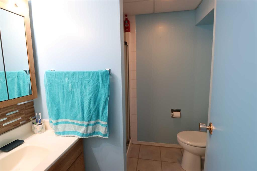 145004 Rr164, Vauxhall, AB - Indoor Photo Showing Bathroom