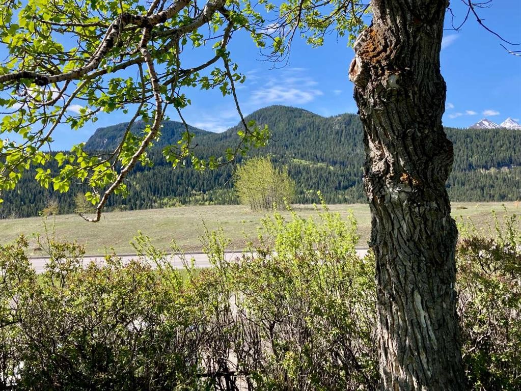 6525 21 Avenue, Coleman, AB - Outdoor With View