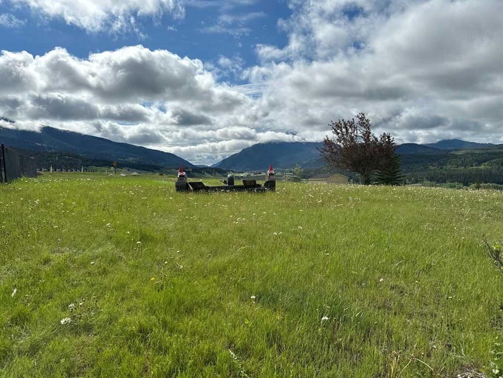 8146 26, Coleman, AB