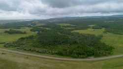 272015A Twp Rd 12 Rural Cardston County, AB T0K 0K0