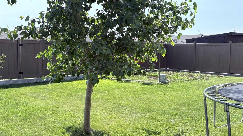 253 Westview Crescent, Bow Island, AB