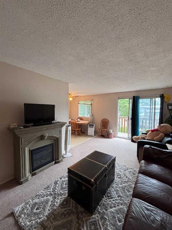 4-5 Acadia Road West, Lethbridge, AB