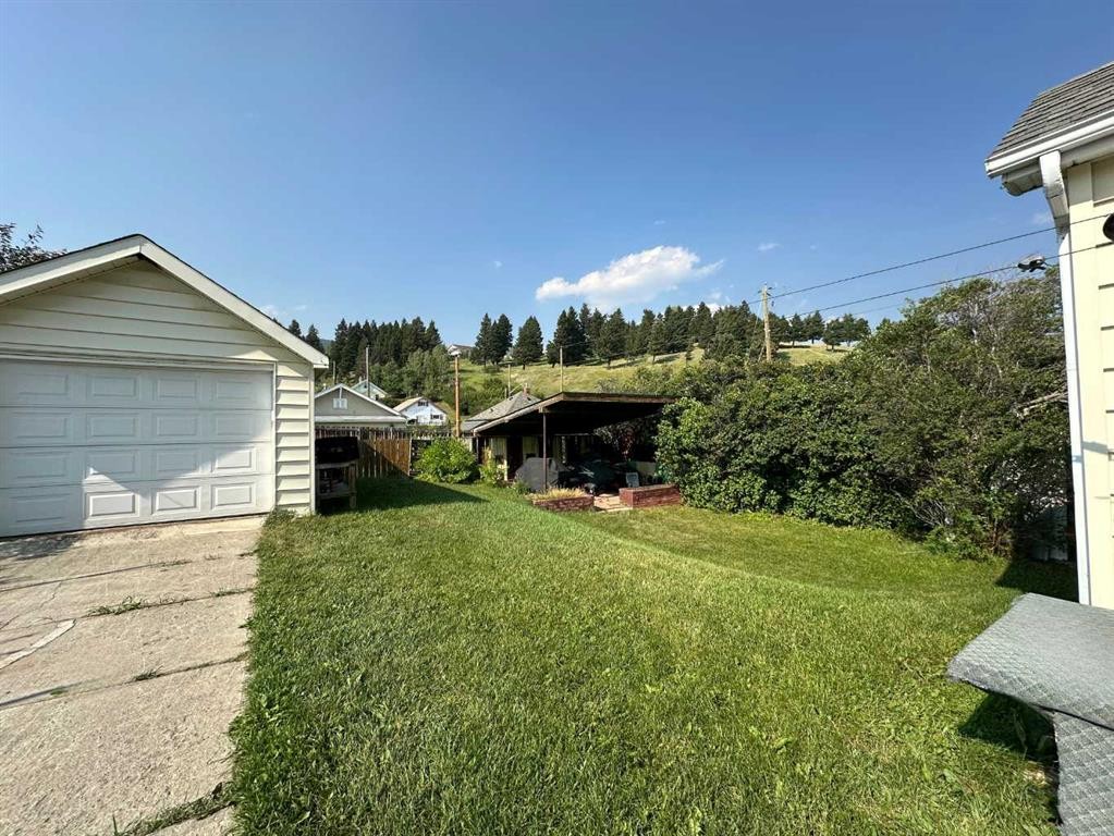 8017 22 Avenue, Coleman, AB - Outdoor