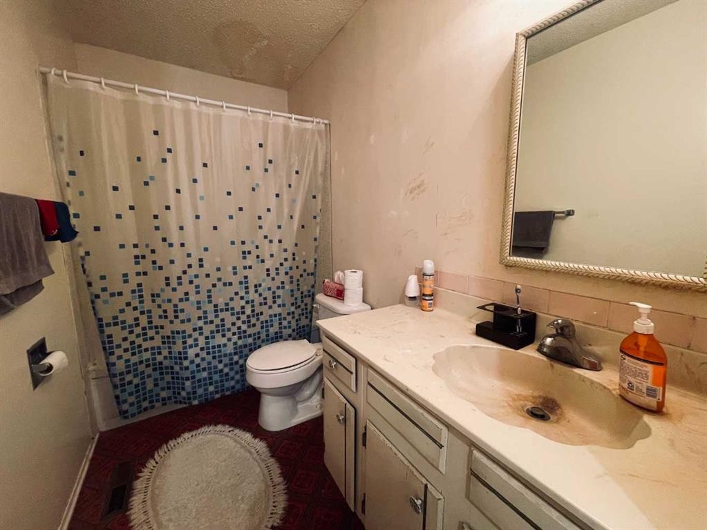 36 Park Meadows Boulevard North, Lethbridge, AB - Indoor Photo Showing Bathroom