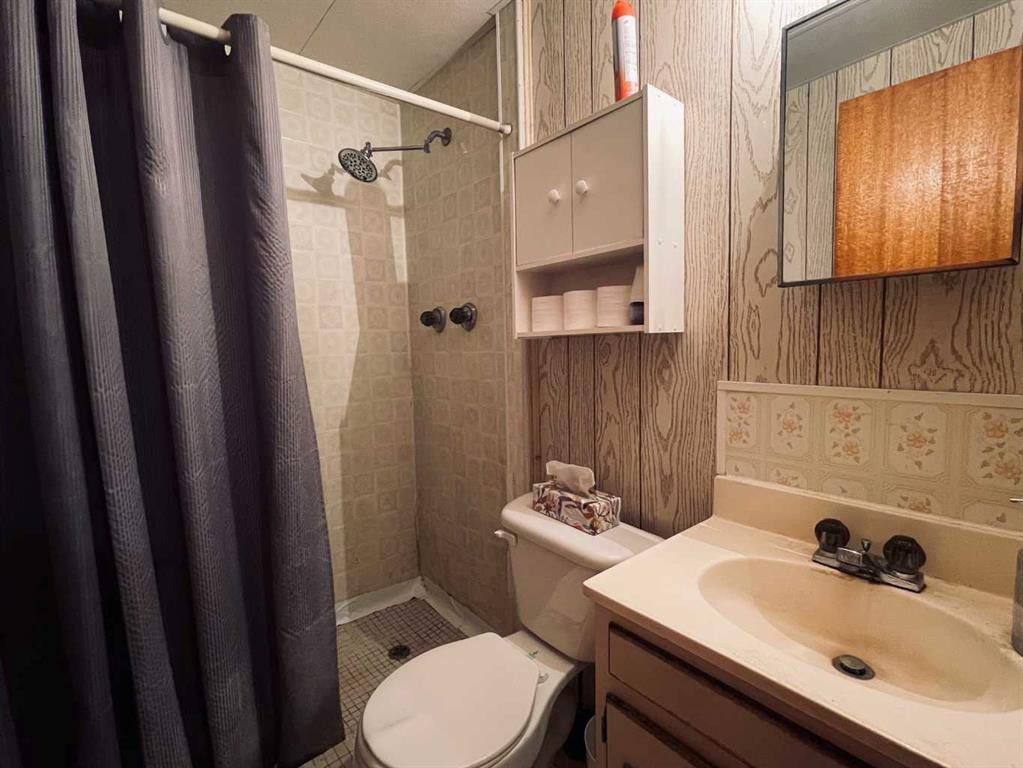36 Park Meadows Boulevard North, Lethbridge, AB - Indoor Photo Showing Bathroom