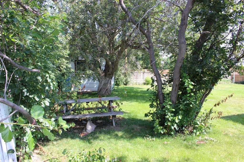 504 Centennial Avenue, Picture Butte, AB - Outdoor