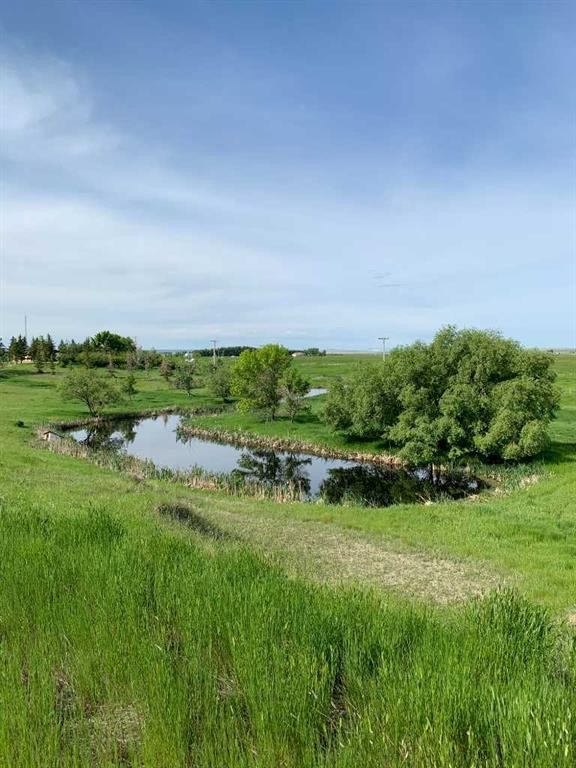 220075 54, Magrath, AB - Outdoor With View