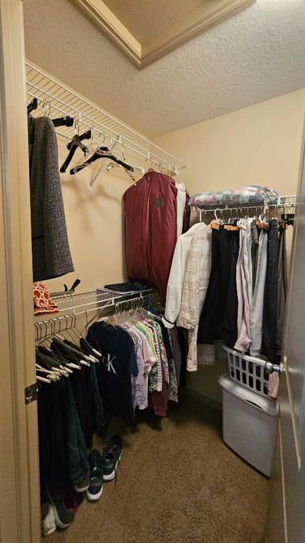 414 Gateway Crescent South, Lethbridge, AB - Indoor With Storage