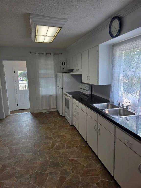 511 12C Street North, Lethbridge, AB - Indoor Photo Showing Kitchen With Double Sink