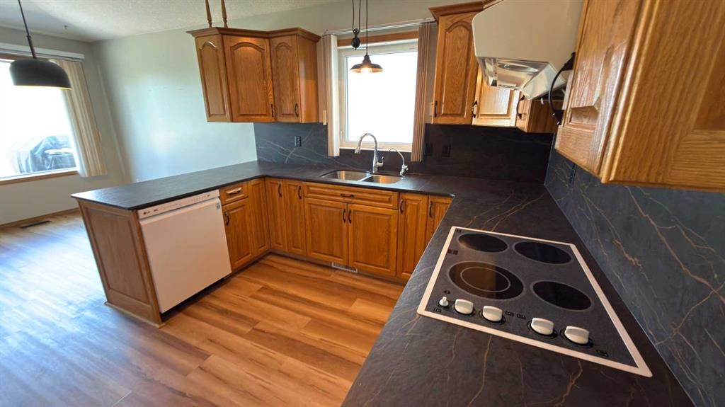 47 Chilcotin Crescent West, Lethbridge, AB - Indoor Photo Showing Kitchen With Double Sink