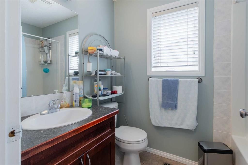 607 52 Avenue Close, Coalhurst, AB - Indoor Photo Showing Bathroom