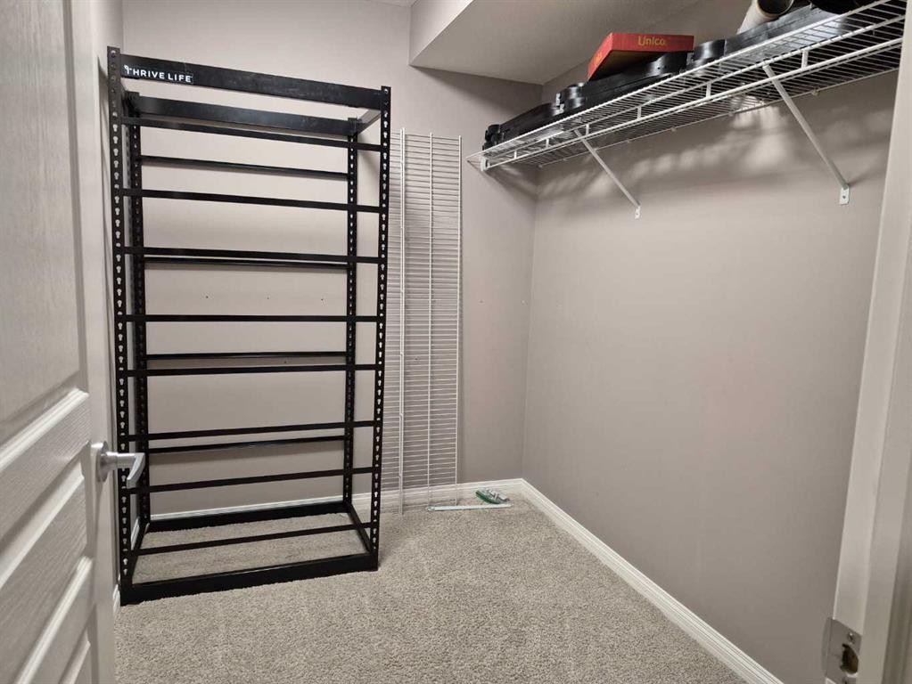 1548 Coalbanks Boulevard West, Lethbridge, AB - Indoor With Storage