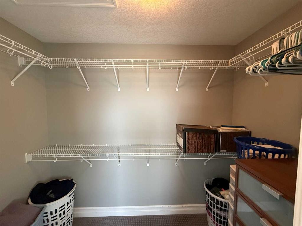 917 Canyonview Place West, Lethbridge, AB - Indoor With Storage
