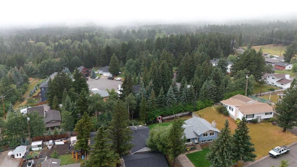 2802 77 Street, Coleman, AB - Outdoor With View