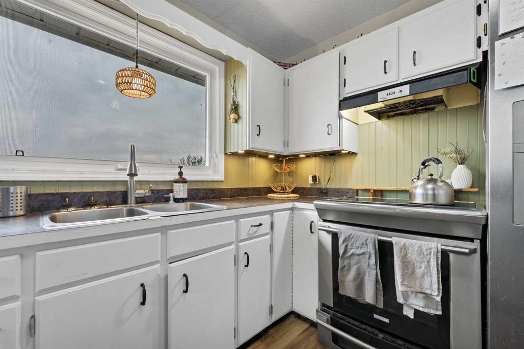 94079 113 Range Road, Bow Island, AB - Indoor Photo Showing Kitchen With Double Sink