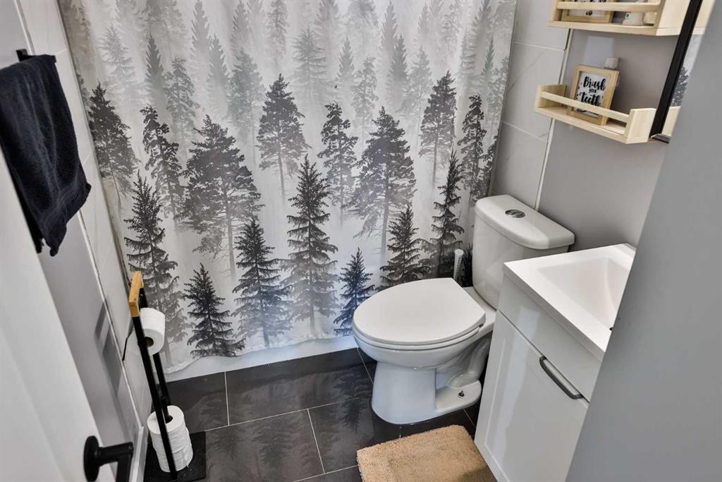 1009 6 Avenue North, Lethbridge, AB - Indoor Photo Showing Bathroom