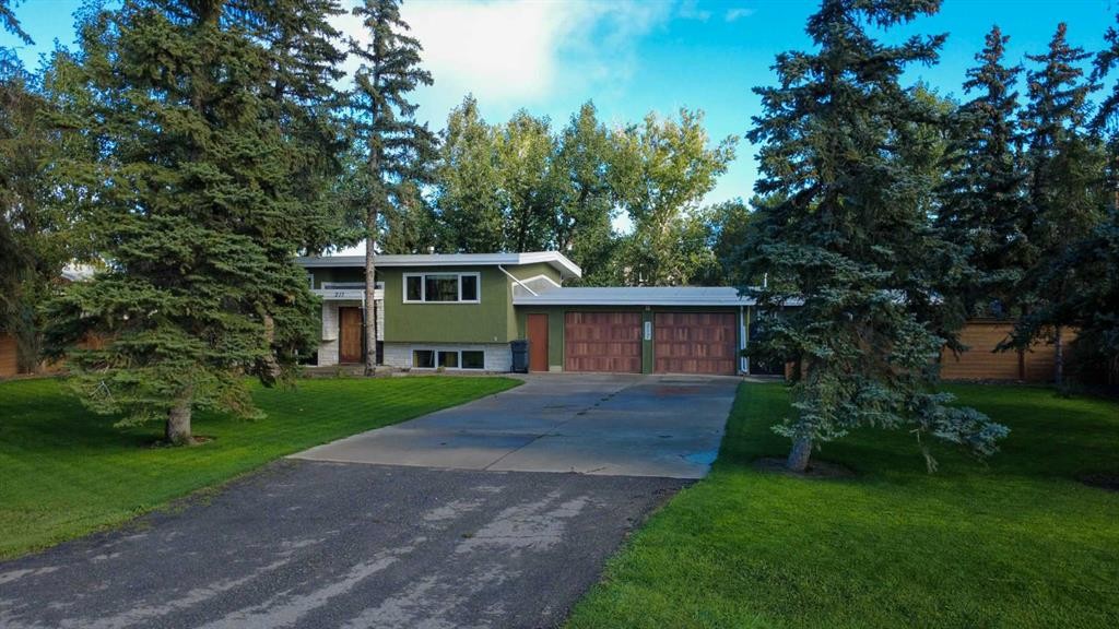 217 Kipp Avenue, Monarch, AB