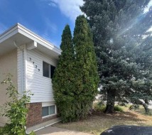 3729 20 Avenue SOUTHLethbridge, AB T1K 4W4