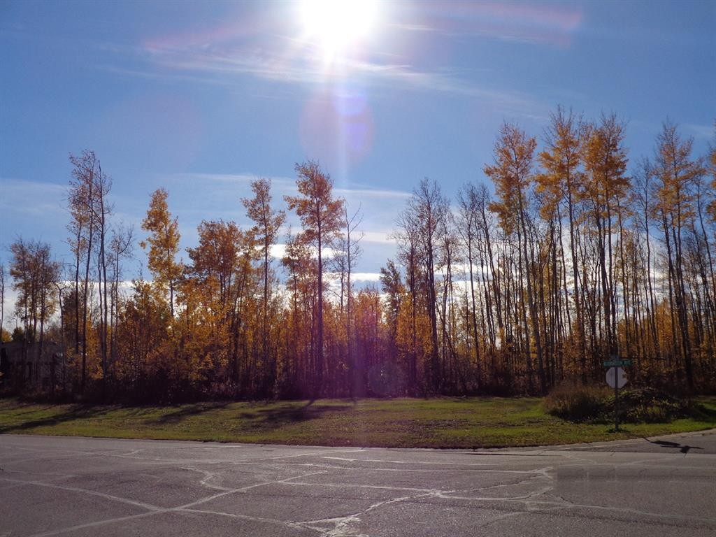 1 Boreal Crescent, High Level, AB