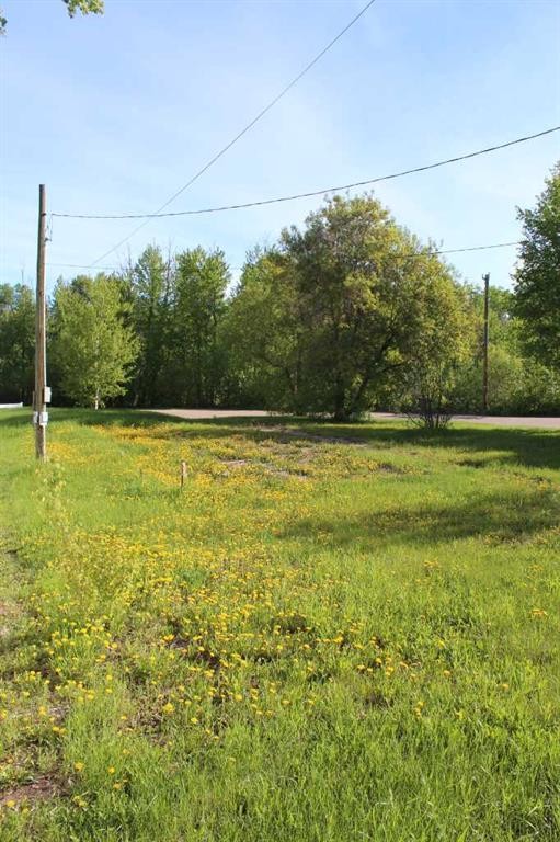 307 3Rd Street Se, Manning, AB