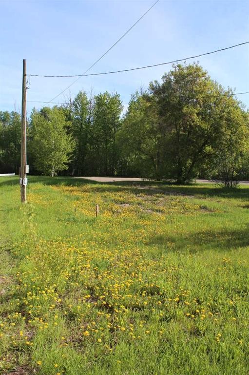 307 3Rd Street Se, Manning, AB