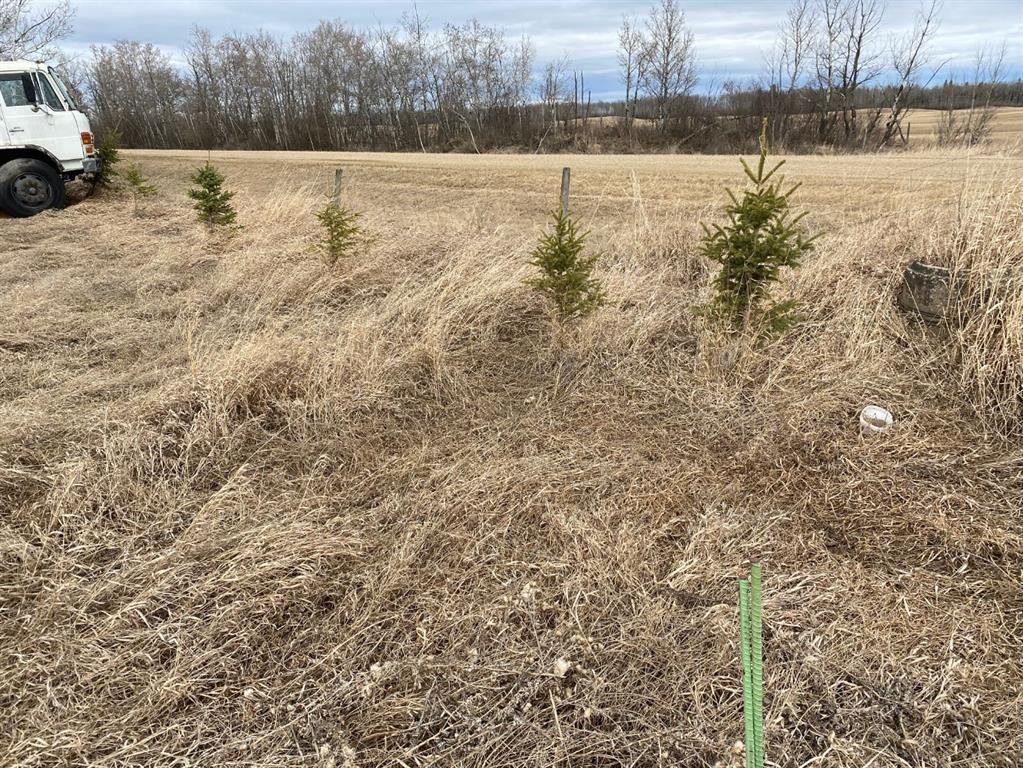 790006 Rge Rd 255, Rural Birch Hills County, AB - Outdoor With View
