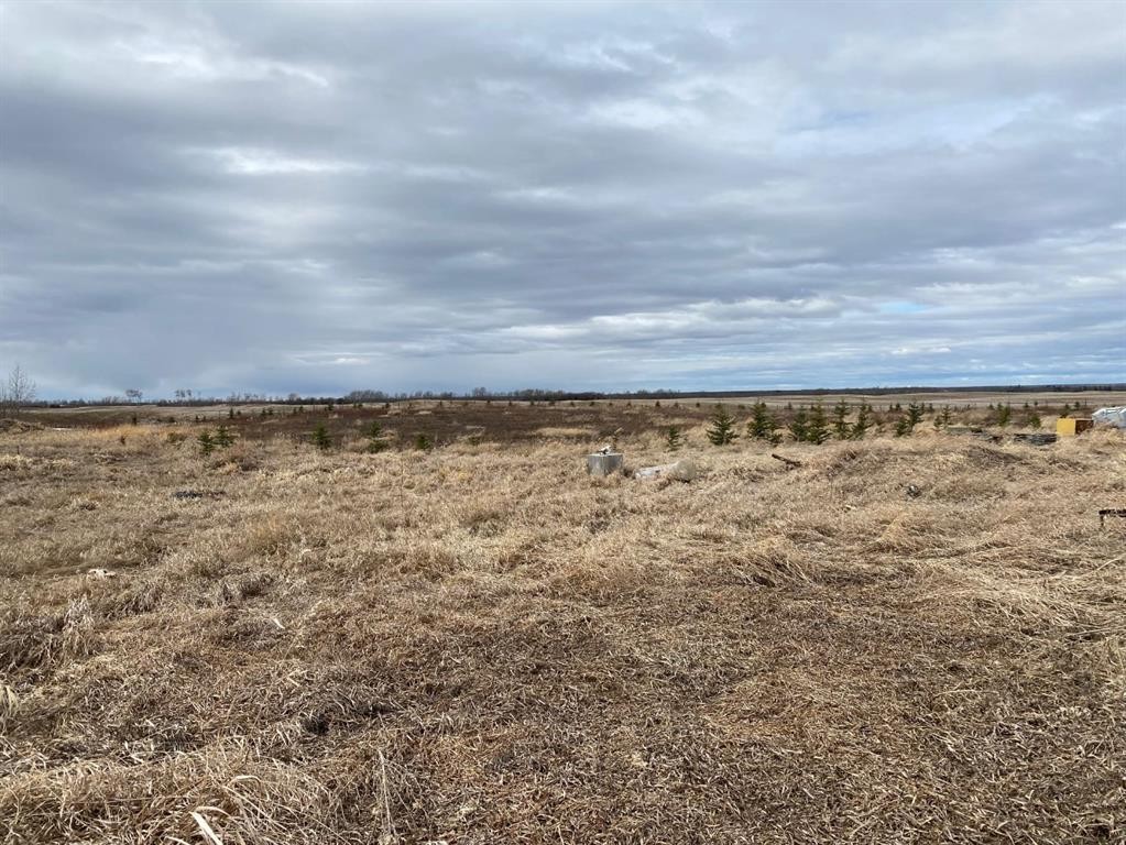790006 Rge Rd 255, Rural Birch Hills County, AB - Outdoor With View
