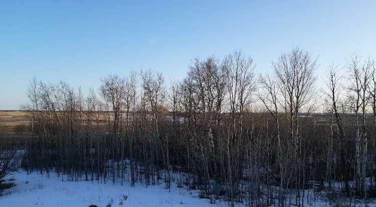 790006 Rge Rd 255, Rural Birch Hills County, AB - Outdoor With View