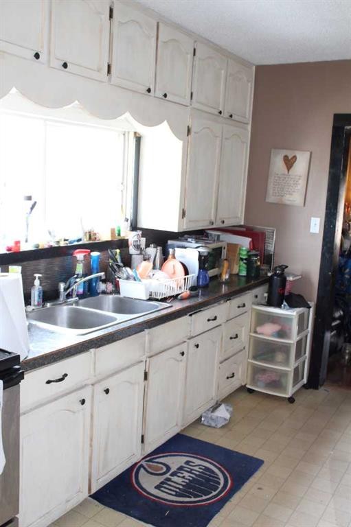 316 5Th Avenue Se, Manning, AB - Indoor Photo Showing Kitchen With Double Sink