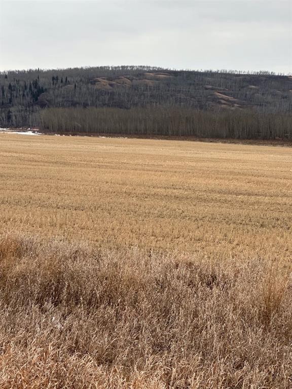 3-1-2121458 242A Range, Rural Birch Hills County, AB