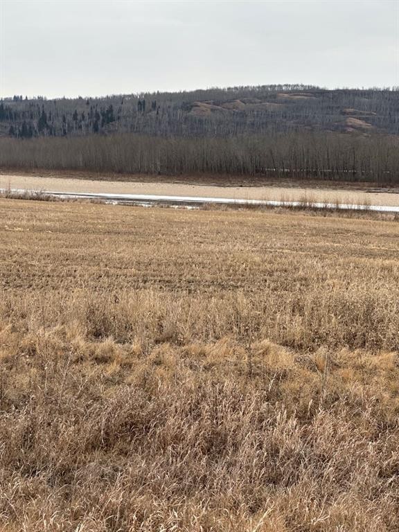 1-1-2121458 242A Range, Rural Birch Hills County, AB