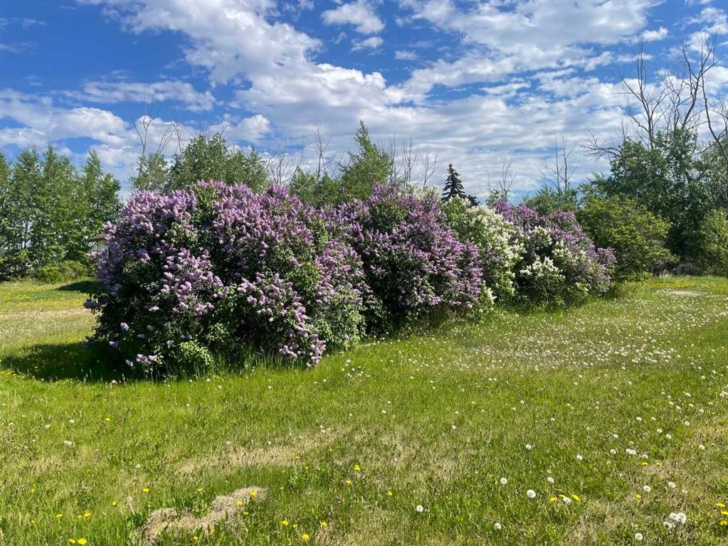 5411 50 Street, Berwyn, AB - Outdoor With View