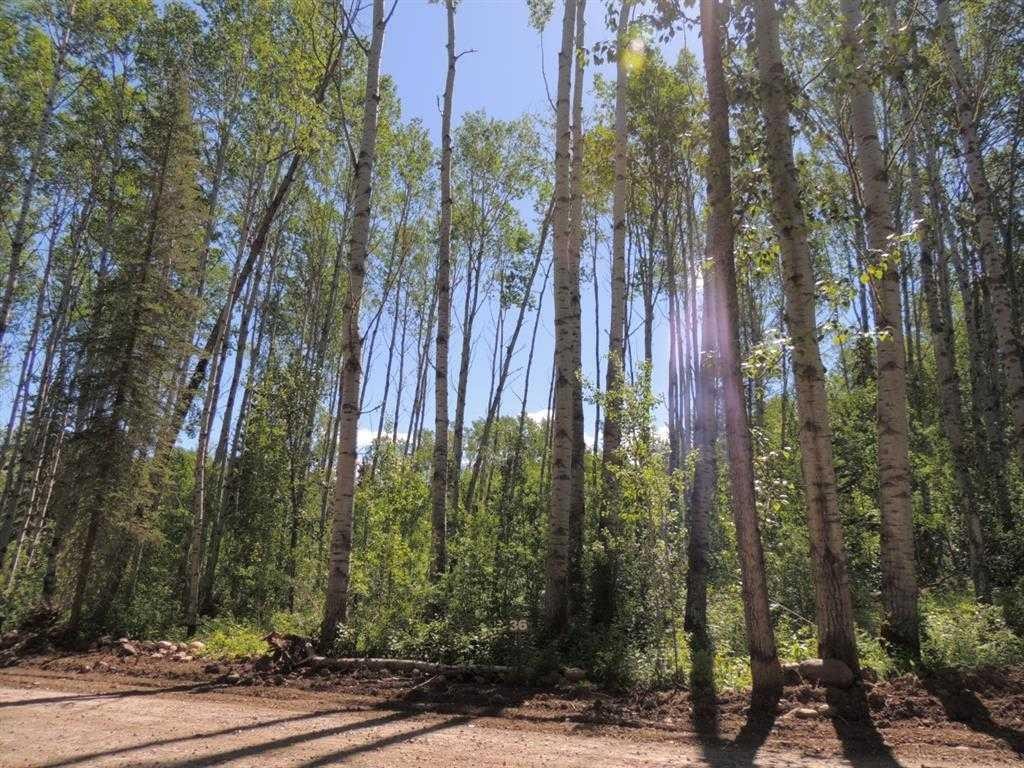 Lot #36 Wapiti River Sw-21-69-10-W6, Rural Grande Prairie No. 1, County Of, AB