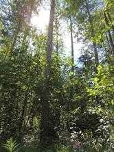 Lot #36 Wapiti River Sw-21-69-10-W6, Rural Grande Prairie No. 1, County Of, AB