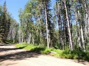 Lot #36 Wapiti River Sw-21-69-10-W6, Rural Grande Prairie No. 1, County Of, AB