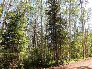 Lot #10 Wapiti River Sw-21-69-10-W6, Rural Grande Prairie No. 1, County Of, AB