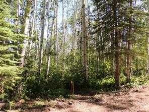 Lot #10 Wapiti River Sw-21-69-10-W6, Rural Grande Prairie No. 1, County Of, AB