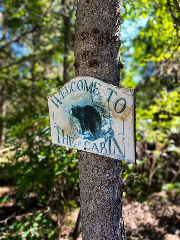 Block 1 Lot 3, Rural Big Lakes County, AB - Outdoor