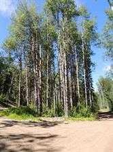 Lot #7 Wapiti River Sw-21-69-10-W6, Rural Grande Prairie No. 1, County Of, AB