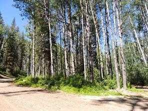 Lot #7 Wapiti River Sw-21-69-10-W6, Rural Grande Prairie No. 1, County Of, AB