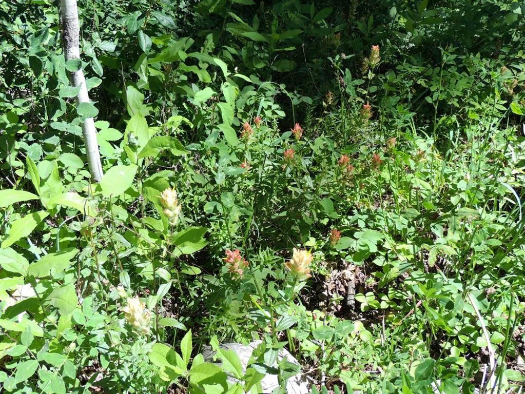 Lot 33-Wapiti River Sw-21-69-10-W6, Rural Grande Prairie No. 1, County Of, AB