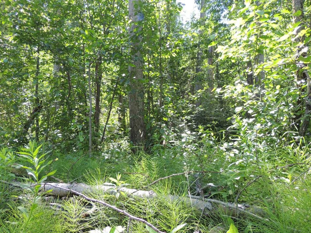 Lot 27-Wapiti River Sw-21-69-10-W6, Rural Grande Prairie No. 1, County Of, AB