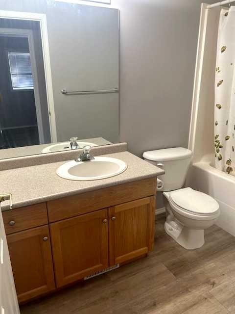 804 2Nd Street Nw, Manning, AB - Indoor Photo Showing Bathroom